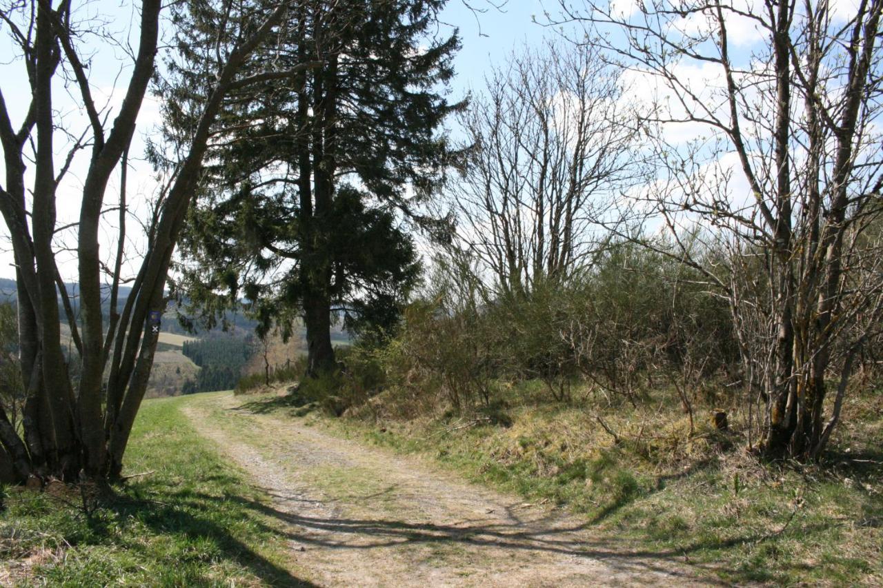 Ferienhaus Zur Ennest Schmallenberg Bagian luar foto
