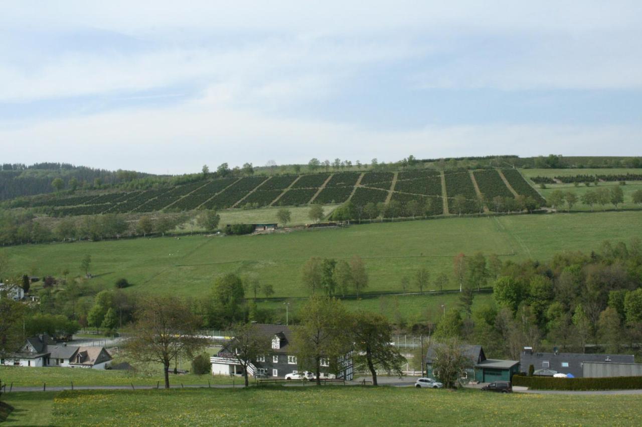 Ferienhaus Zur Ennest Schmallenberg Bagian luar foto